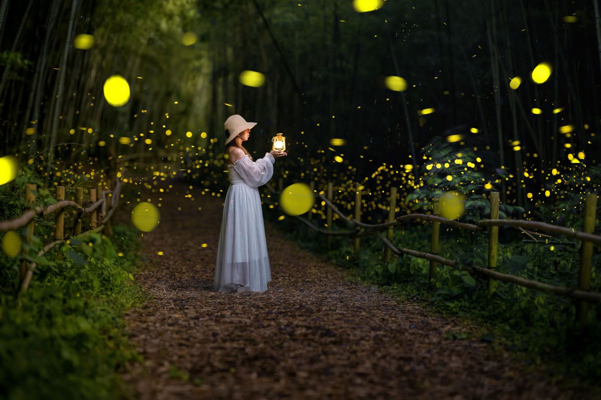 SIGMA 105mm F1.4 DG HSM | Artで撮影された写真 | 写真検索 | GANREF