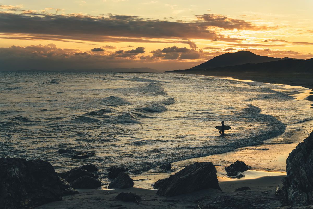 50-400mm F/4.5-6.3 Di III VC VXDで撮影された写真 | 写真検索 | GANREF