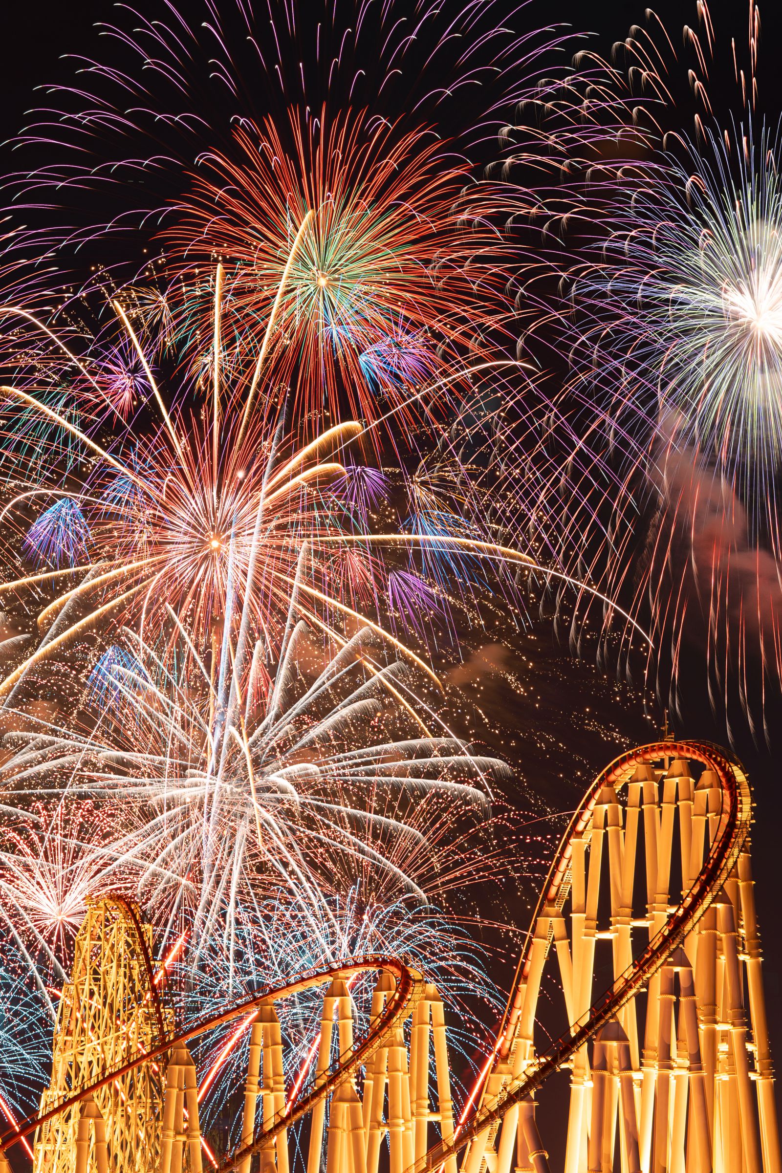 鷹斗、キング　コースター、フォトカ Astro Photography Workshop with Cody York - Dreamland Safari Tours