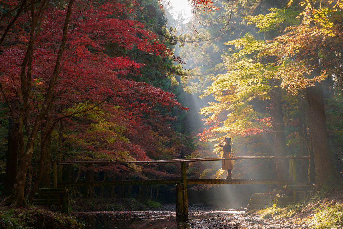 Vario-Tessar T* FE 24-70mm F4 ZA OSSで撮影された写真 | 写真検索 
