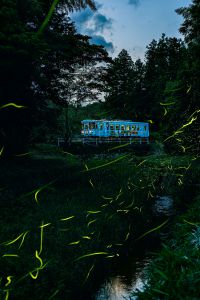 鉄道写真 青白いトーン 高品質印刷 MDAwMDA2MTM2Nw_MC4wNDYxNTYwMCA