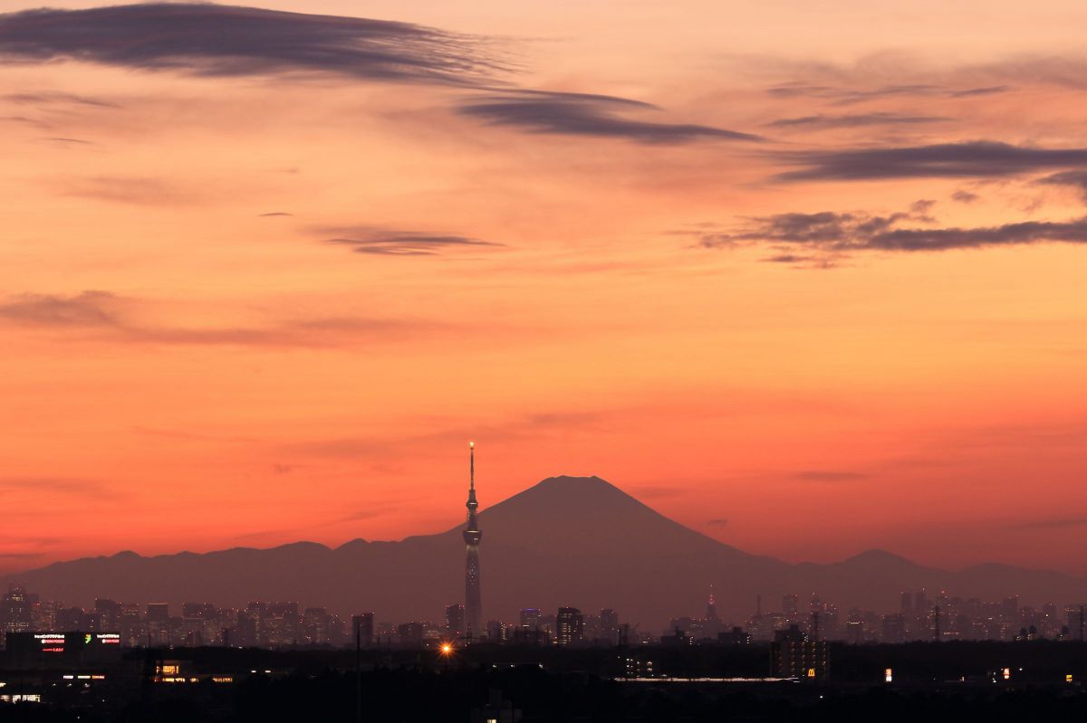 ❤️当店限定!!オマケ盛り沢山❤️Canon 55-250mm IS STM❤️ Amazon.co.jp: EF-S55-250mm F4-5.6 IS STM : 家電＆カメラ