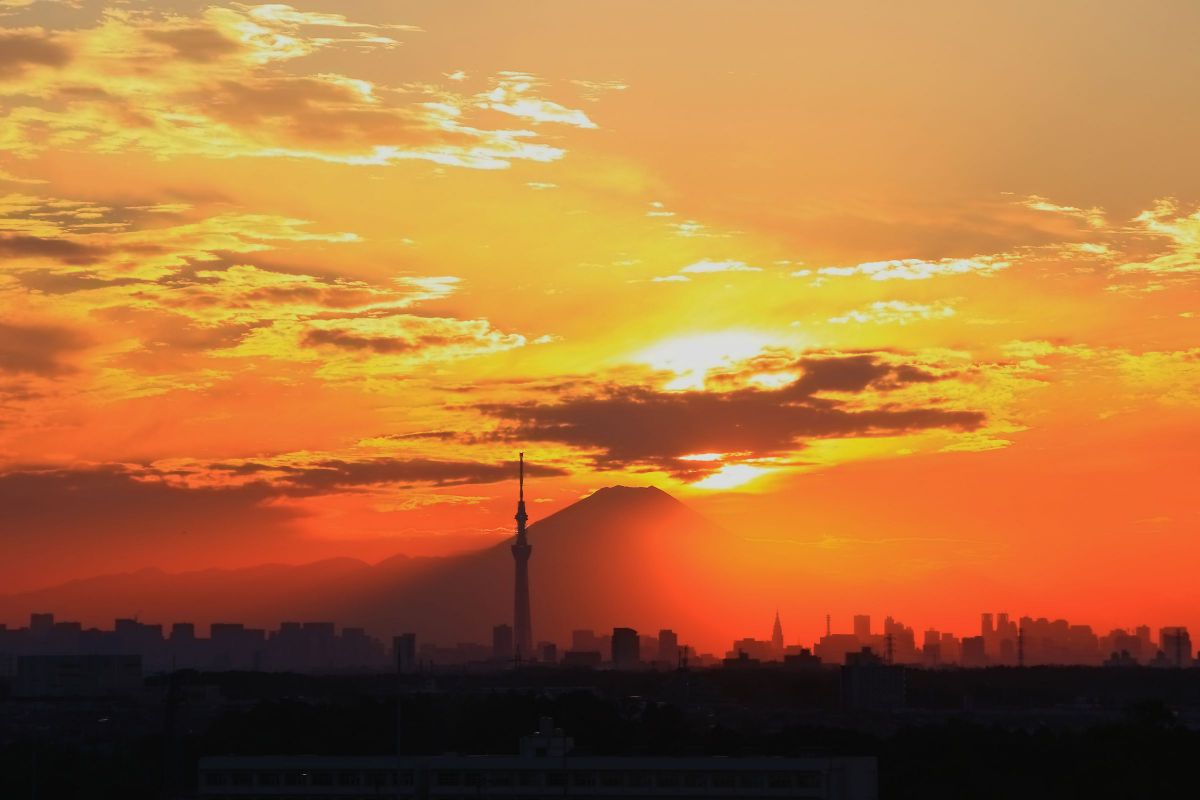 EF-S55-250mm F4-5.6 IS IIで撮影された写真 | 写真検索 | GANREF