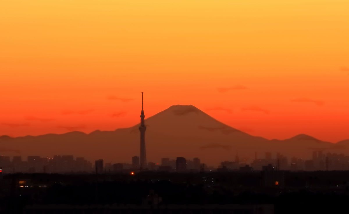 りんりのりこぱぱ ❣美しいボケ味❣EF-S 55-250mm IS II りんりのりこぱぱ 様専用❣美しいボケ味❣EF-S 55-250mm IS II