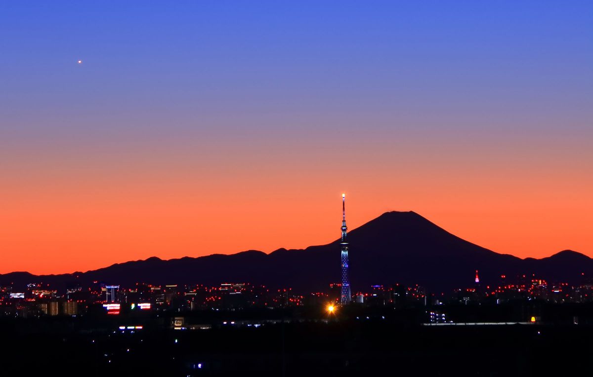 りんりのりこぱぱ ❣美しいボケ味❣EF-S 55-250mm IS II りんりのりこぱぱ 様専用❣美しいボケ味❣EF-S 55-250mm IS II カメラ