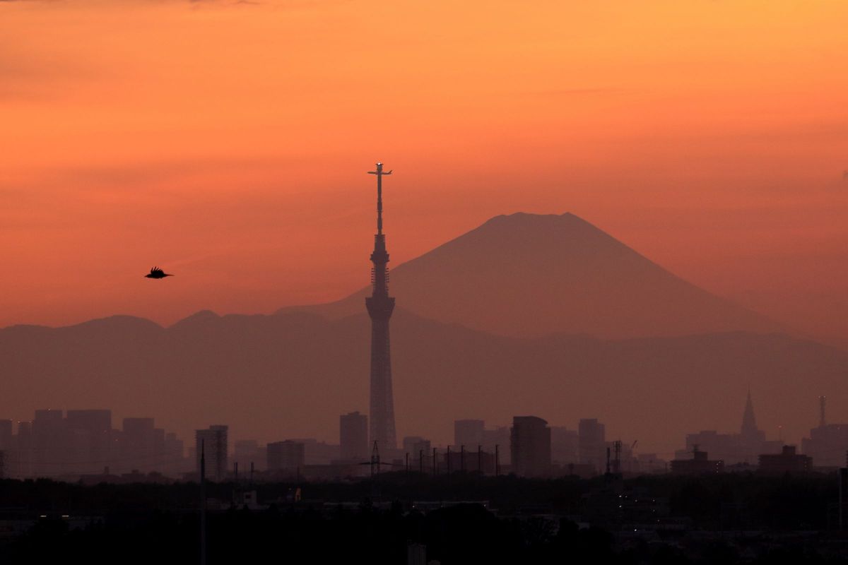 ❣動く被写体もブレずに撮影❣Canon EF-S 55-250mm IS❣美品❣ EF-S55-250mm F4-5.6 IS - キヤノンカメラミュージアム