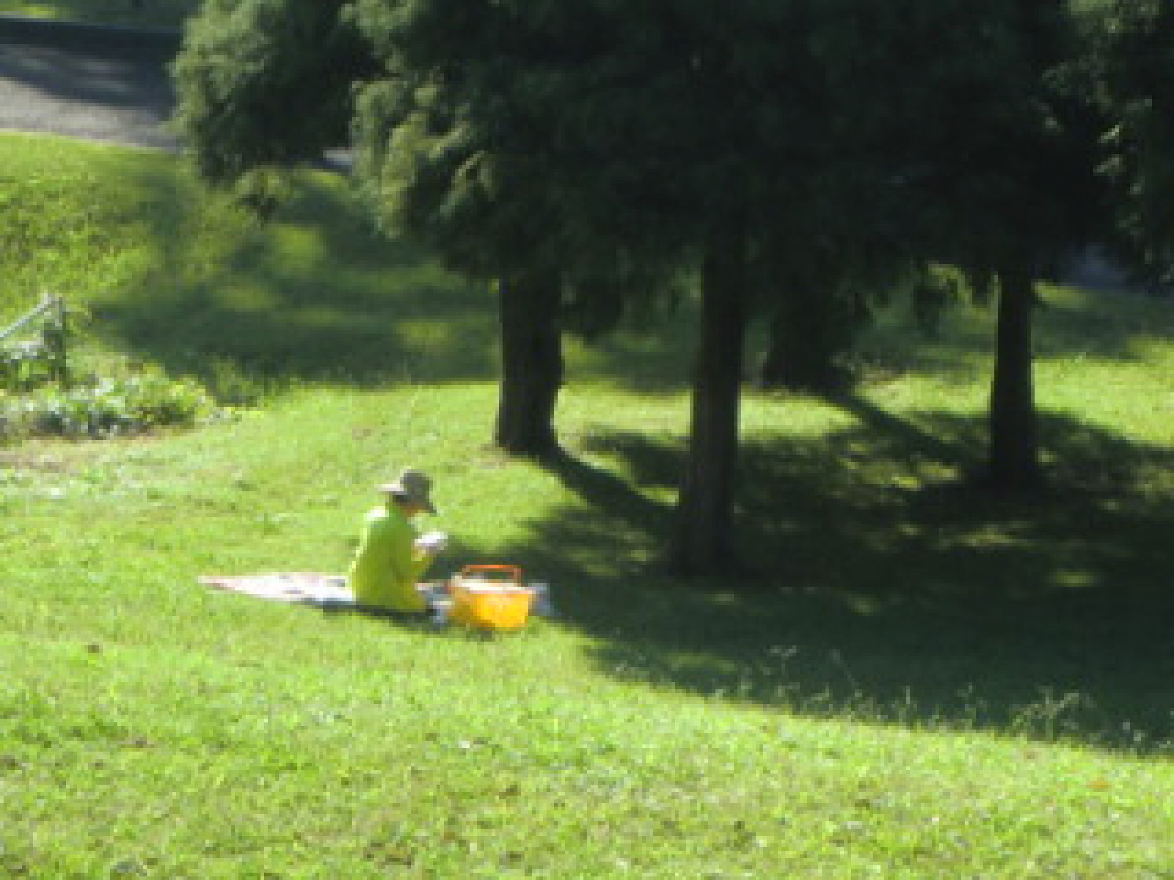 公園で、一人ピクニック | GANREF