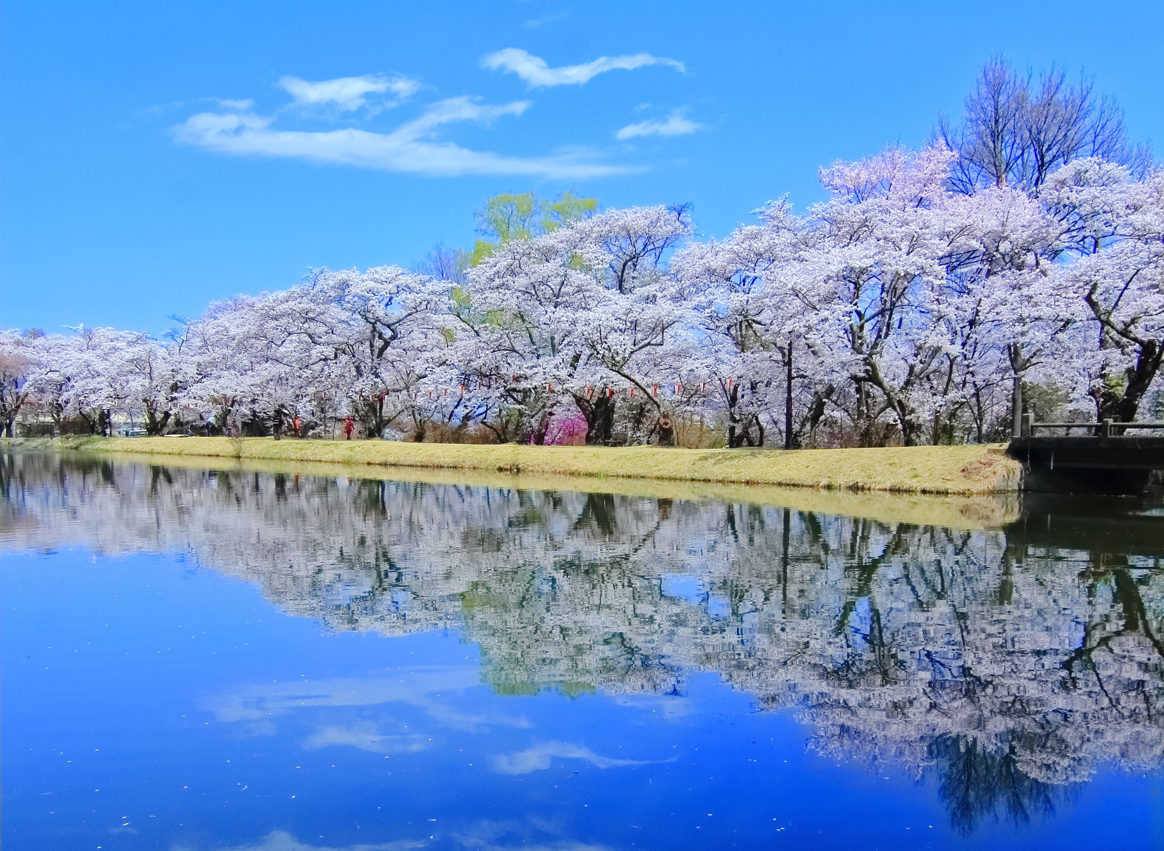 馬見塚の水面鏡 | GANREF