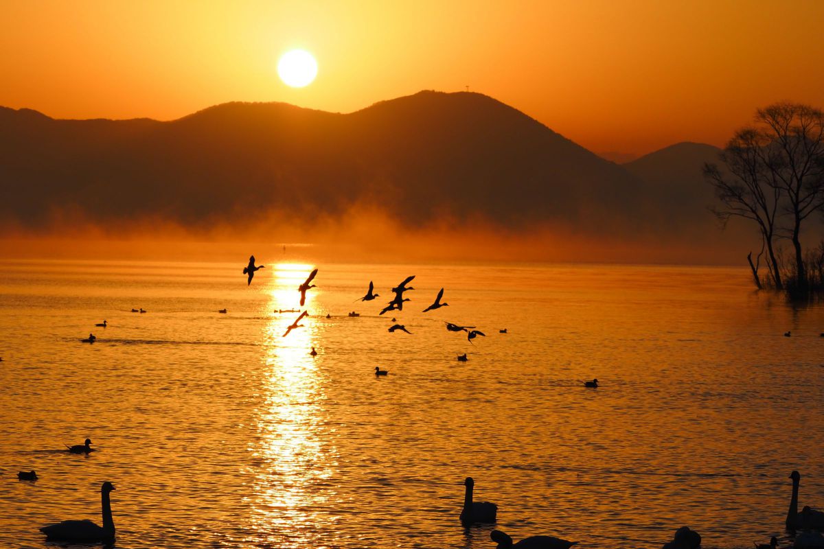 ★ LEICA D VARIO-ELMAR 14-50mm F3.8-5.6 新着写真 | GANREF