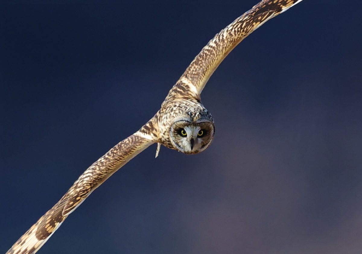 mみっちゃんさんの写真一覧 | GANREF