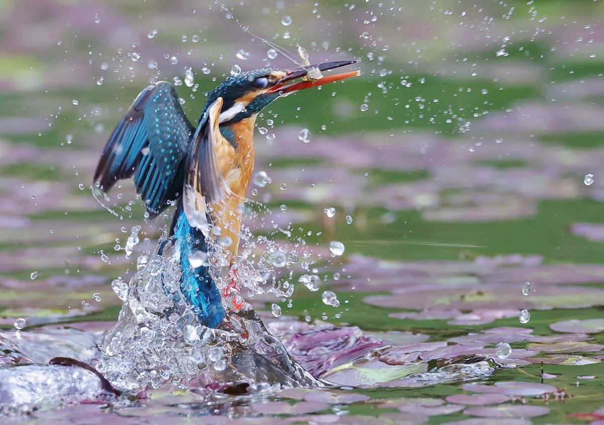 mみっちゃんさんの写真一覧 | GANREF