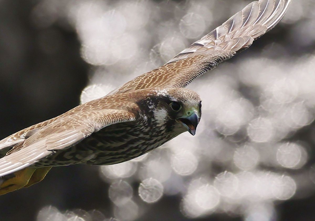 mみっちゃんさんの写真一覧 | GANREF