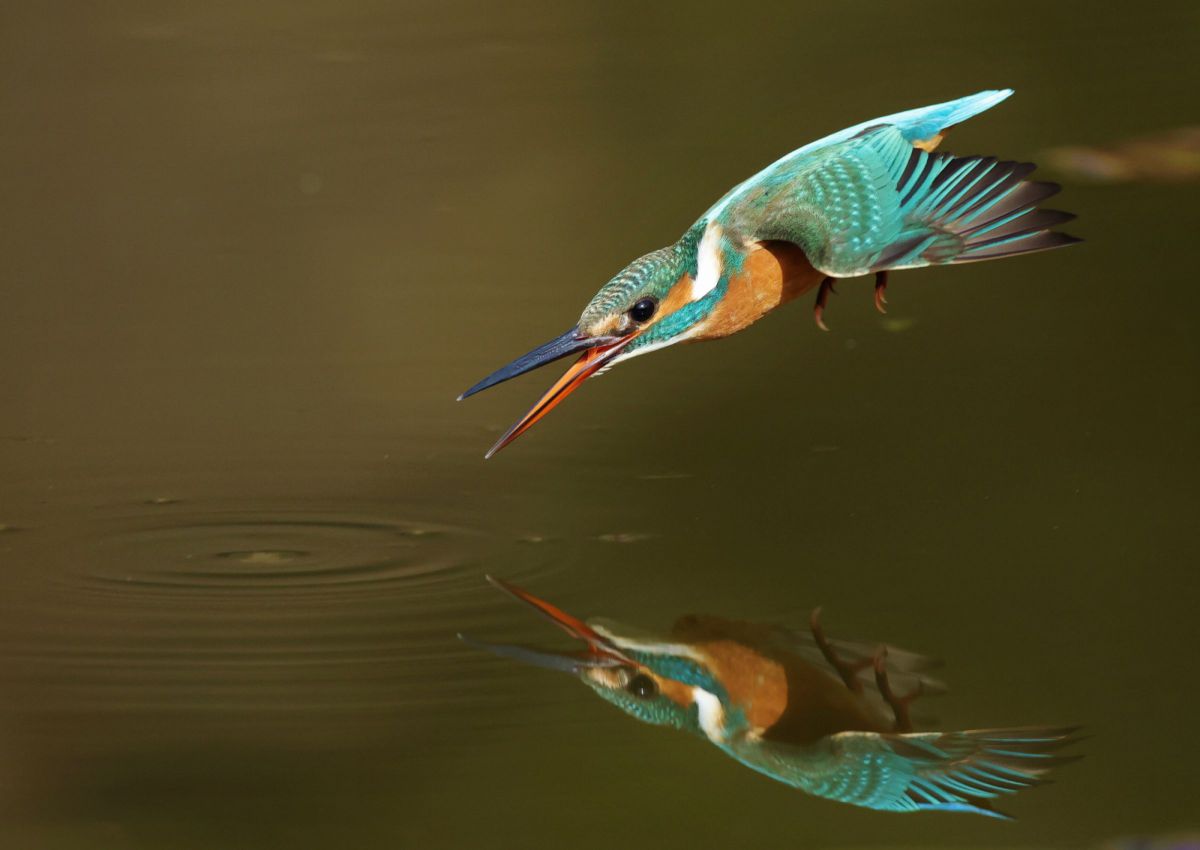 mみっちゃんさんの写真一覧 | GANREF