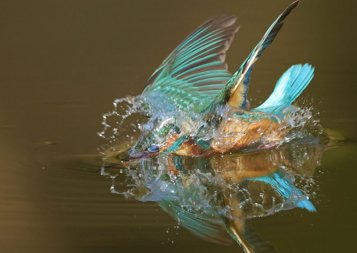 mみっちゃんさんの写真一覧 | GANREF