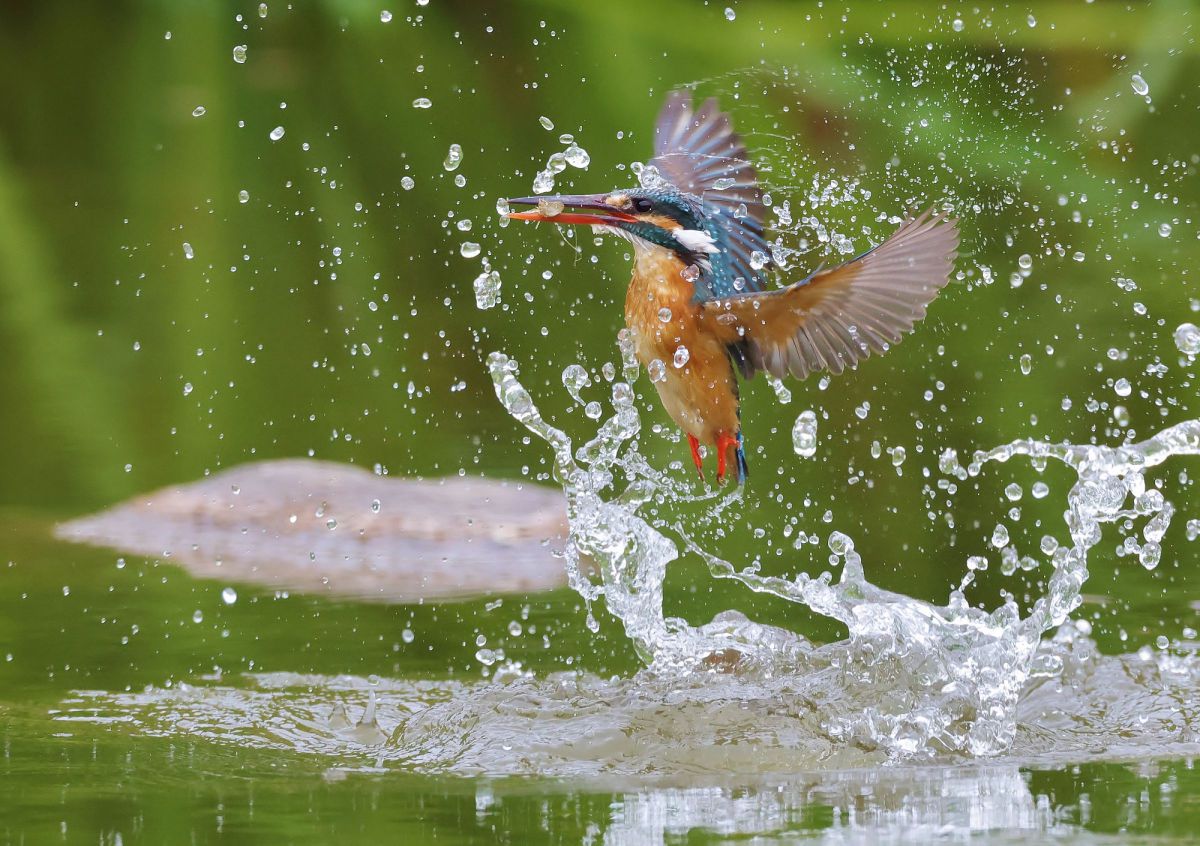 mみっちゃんさんの写真一覧 | GANREF