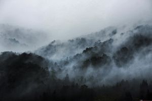 霧の山々の風景画 霧の山々の風景画 mqdefault.jpg