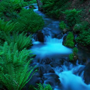 滝の写真19 お題 の写真をみんなで投稿しよう Ganref