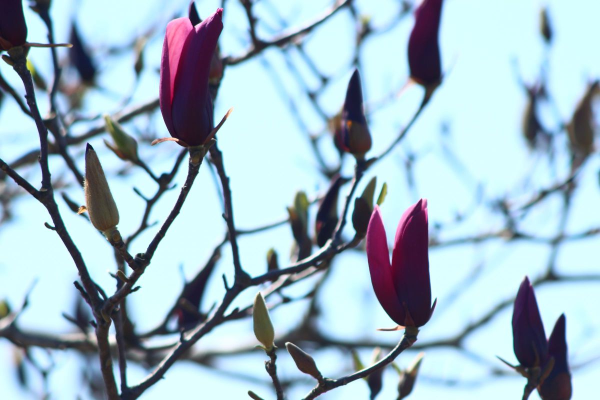EF90-300mm F4.5-5.6 USMで撮影された写真 | 写真検索 | GANREF EF90-300mm F4.5-5.6 USMで撮影された写真 | 写真検索 | GANREF