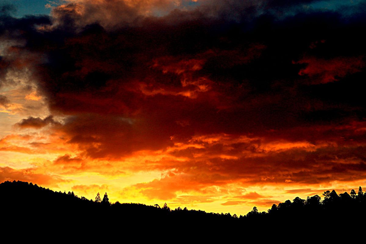 EOS 70Dで撮影された写真 | 写真検索 | GANREF