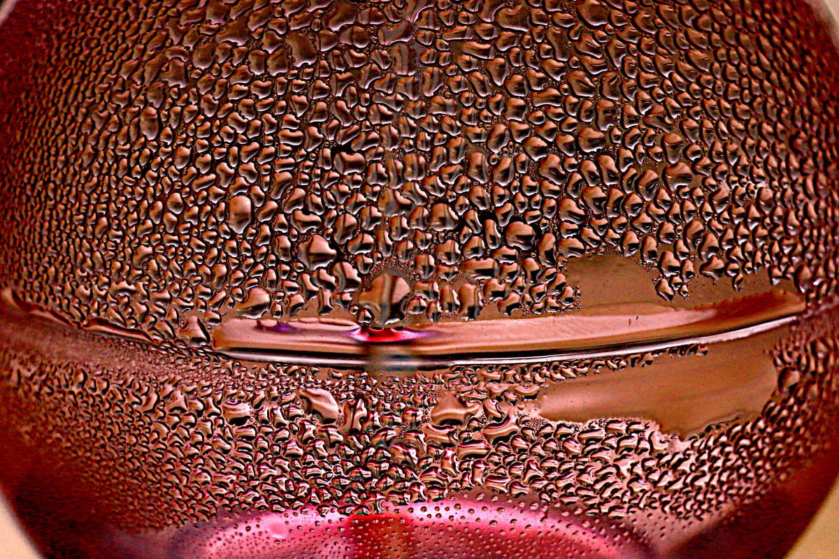 EOS 70Dで撮影された写真 | 写真検索 | GANREF