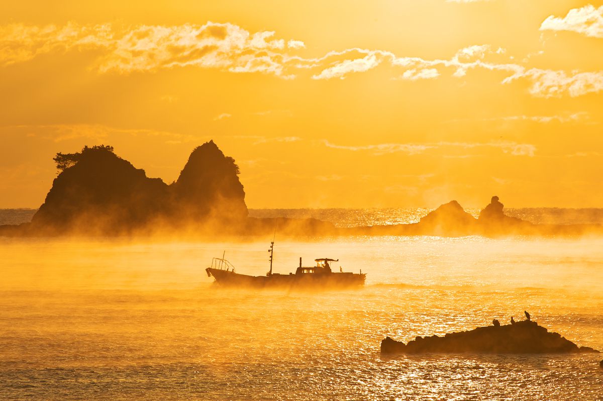 AF-S VR Zoom-Nikkor 70-300mm f/4.5-5.6G IF-EDで撮影された写真