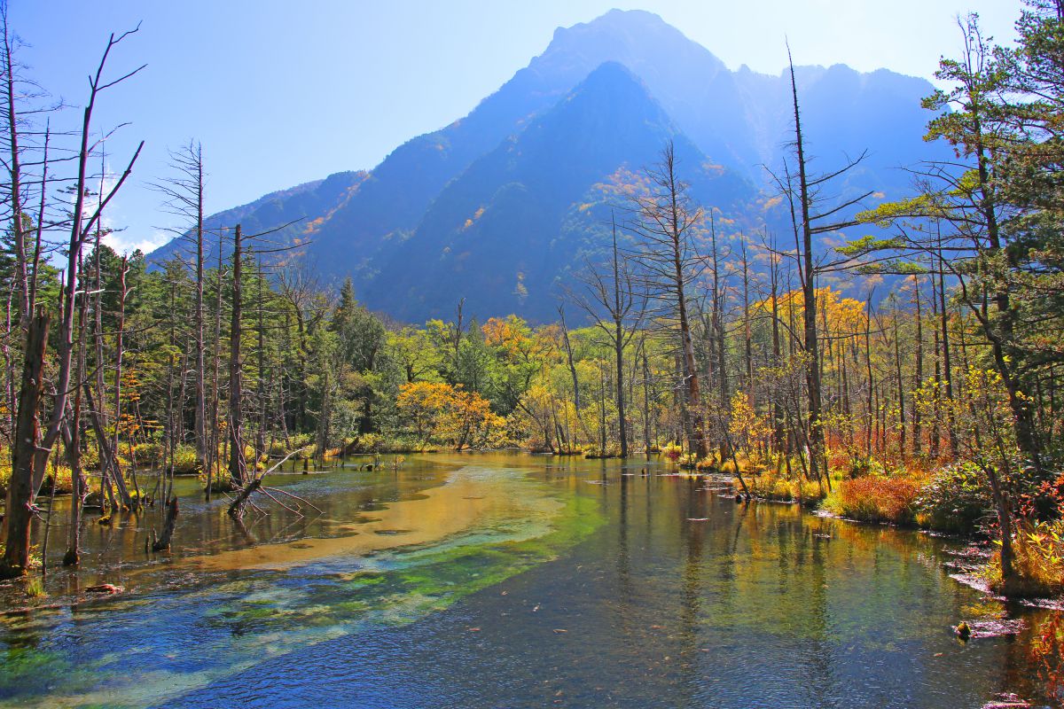 岳沢湿原 自然 風景 湖沼 Ganref 岳沢湿原 自然 風景 湖沼 Ganref