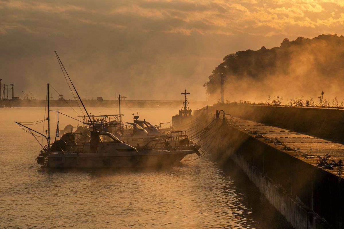 AF-S DX NIKKOR 18-140mm f/3.5-5.6G ED VRで撮影された写真 | 写真