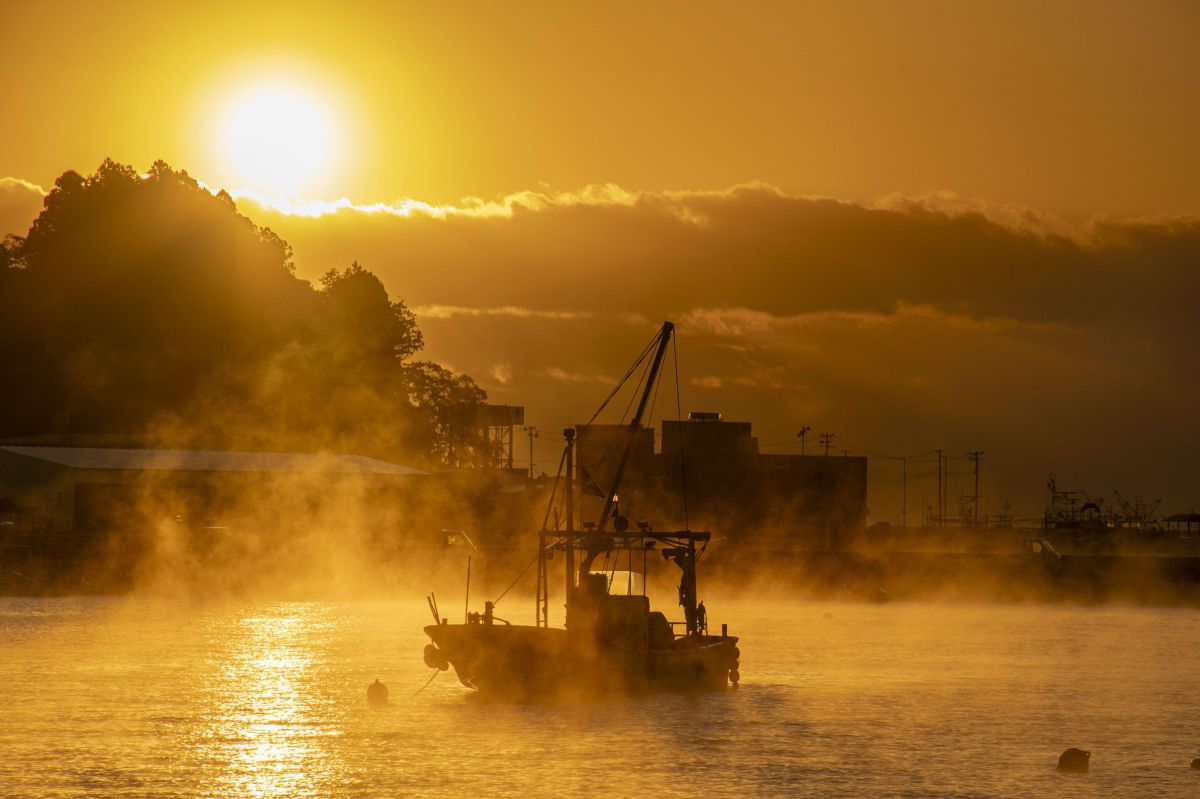 AF-S DX NIKKOR 18-140mm f/3.5-5.6G ED VRで撮影された写真 | 写真