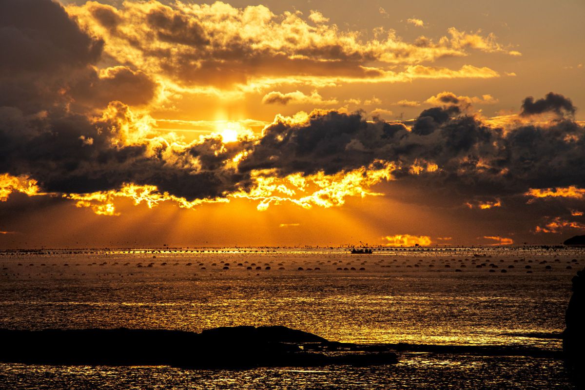 AF-S DX NIKKOR 18-140mm f/3.5-5.6G ED VRで撮影された写真 | 写真