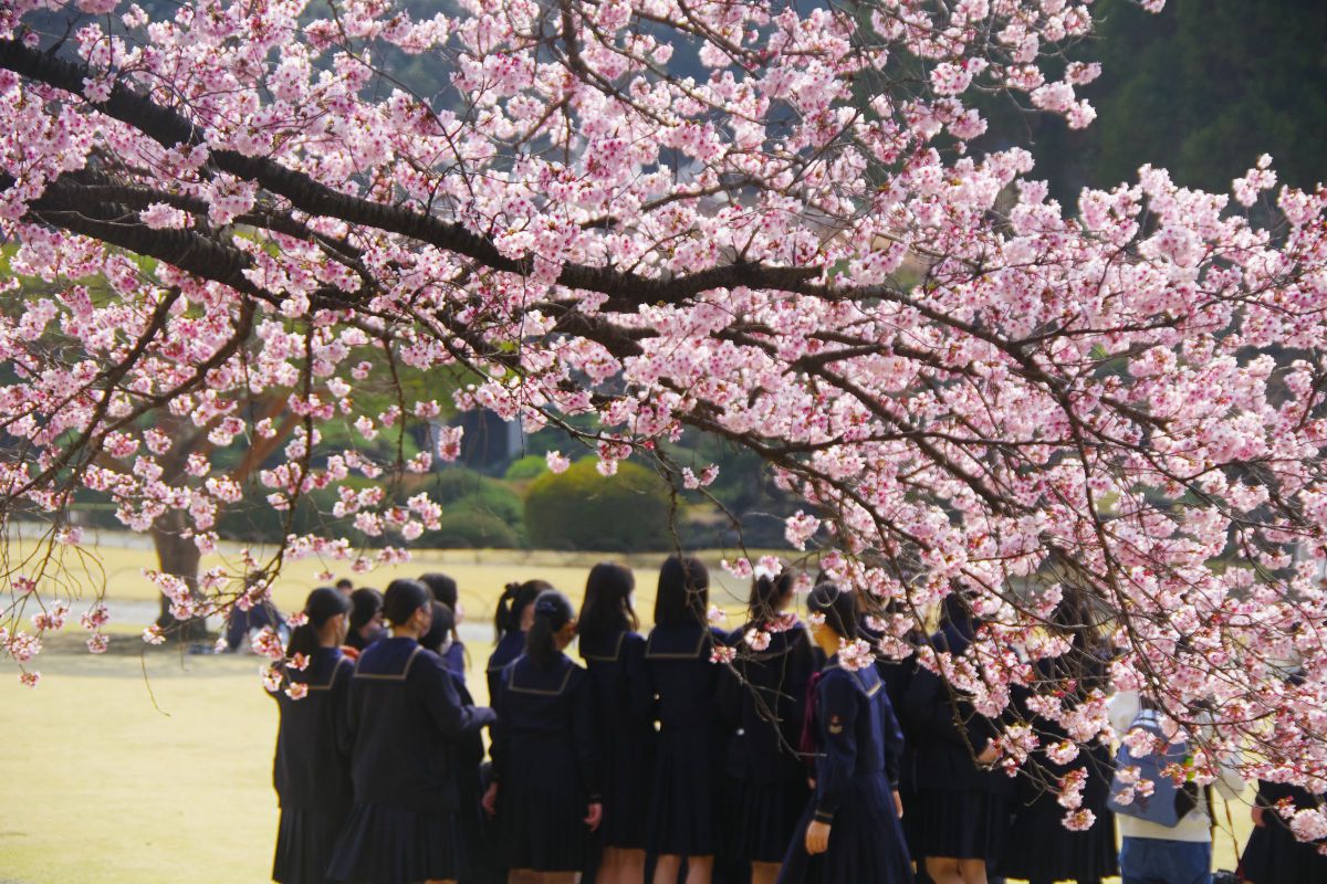 青春 そして別れ GANREF