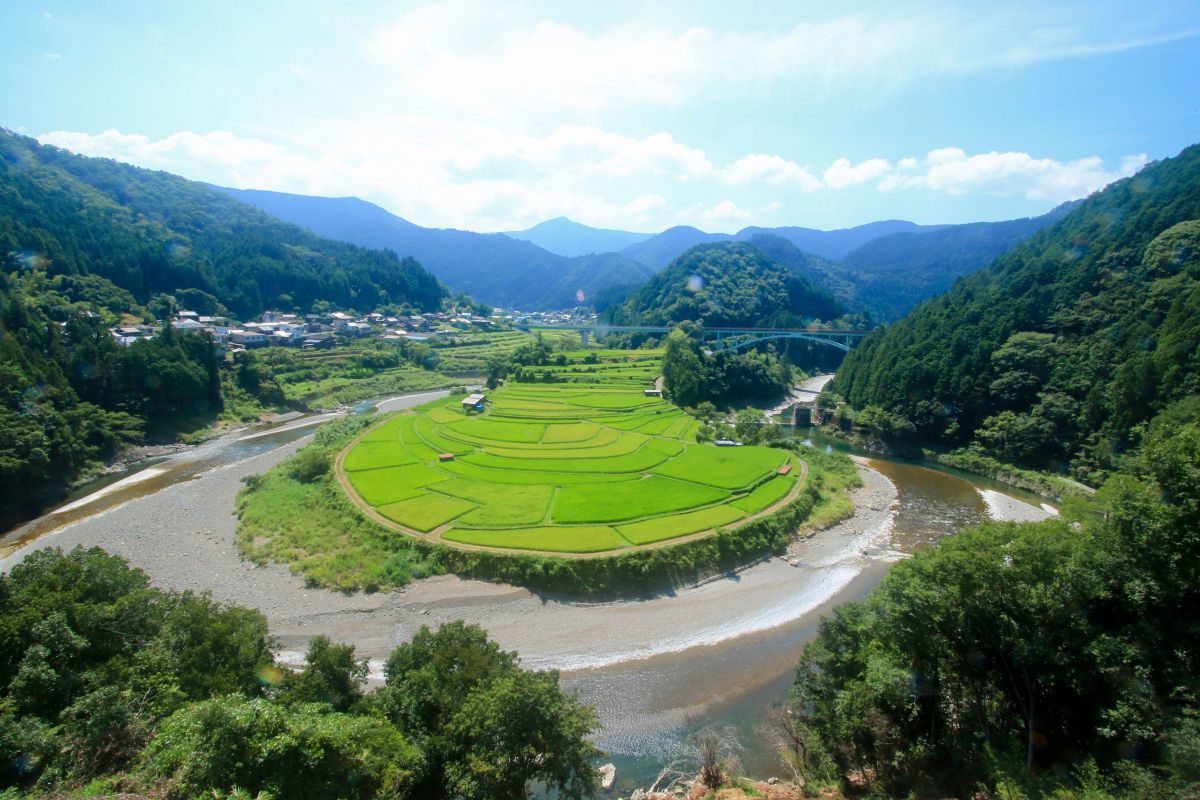 あらぎ島 GANREF あらぎ島 GANREF