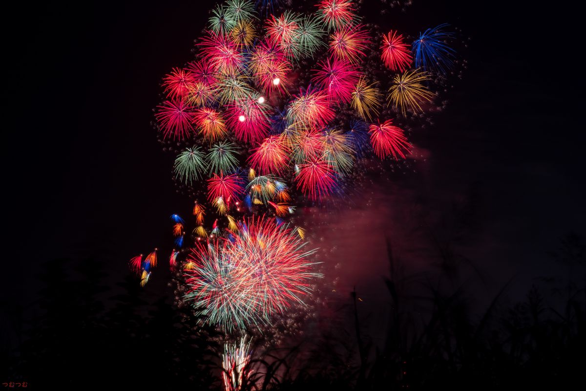哀愁の花火 あの日 君と見た花火 自然 風景 その他 Ganref
