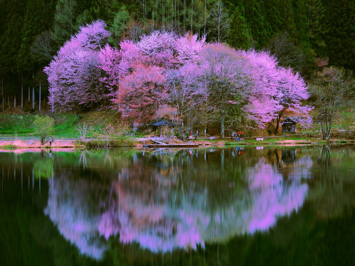 LUMIX G X VARIO PZ 45-175mm/F4.0-5.6 ASPH./ POWER O.I.S.で撮影され