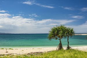 南国の風景画 絵画風 壁紙ポスター (はがせるシール式) 南国のパラダイス