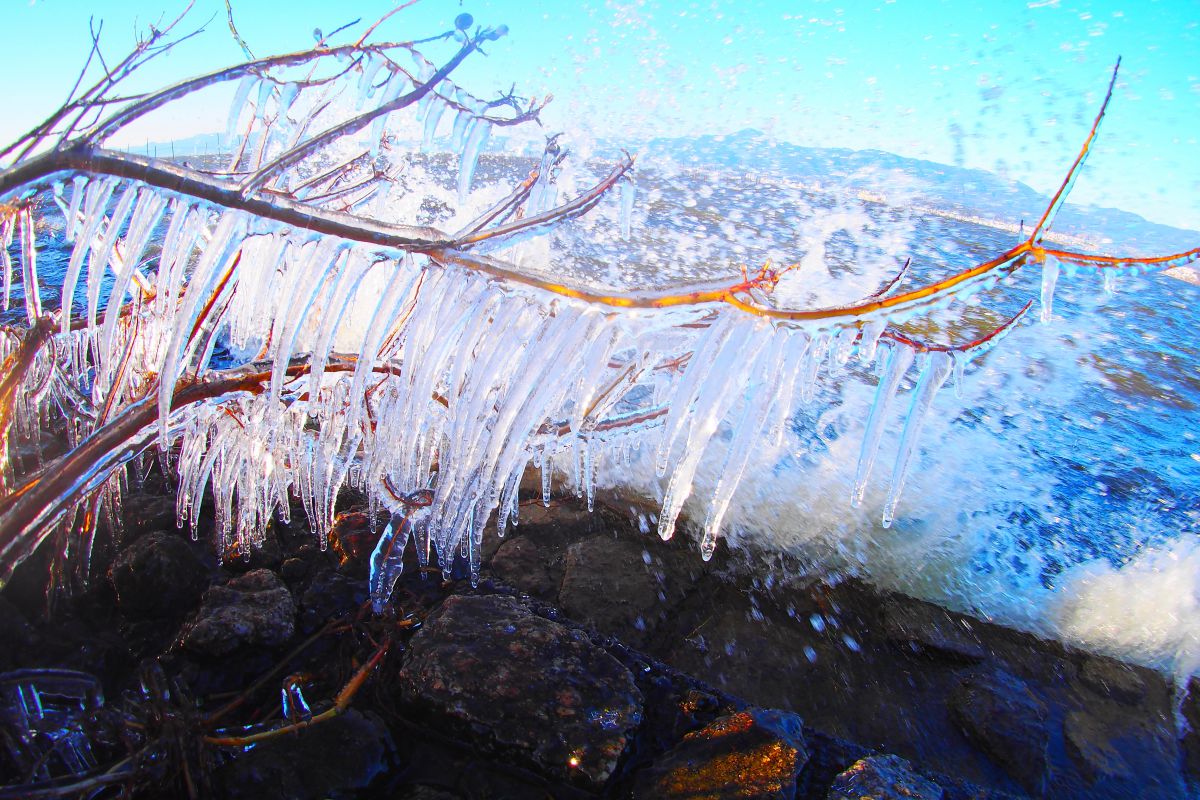 琵琶湖の飛沫氷 自然 風景 水辺 Ganref
