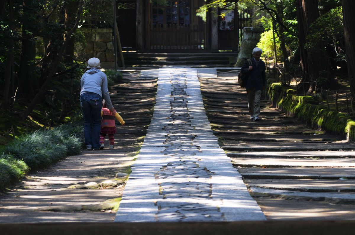 Ai AF-S Zoom Nikkor ED 80-200mm F2.8D（IF）で撮影された写真 | 写真