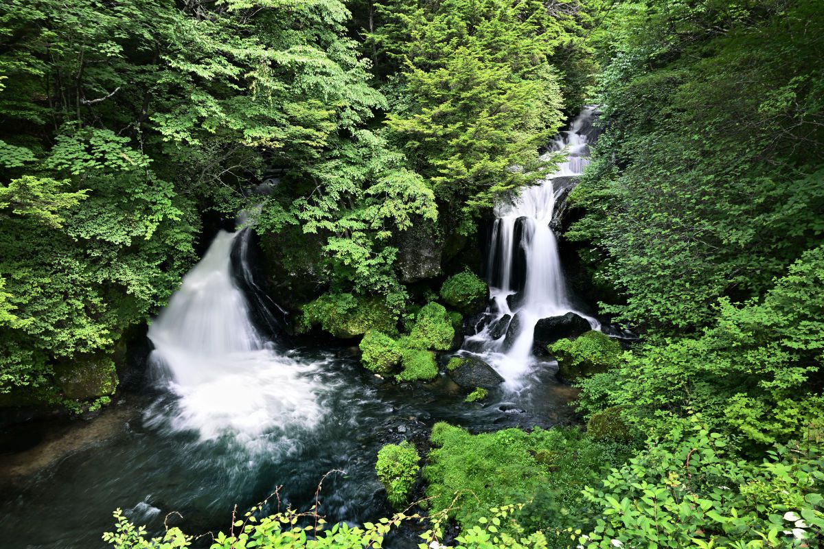NIKKOR Z 24mm f/1.8 Sで撮影された写真 | 写真検索 | GANREF