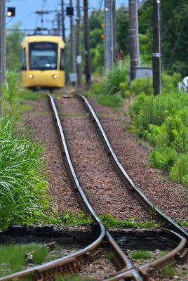 夏草の線路