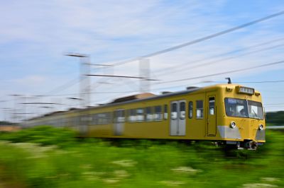 緑掻き分け