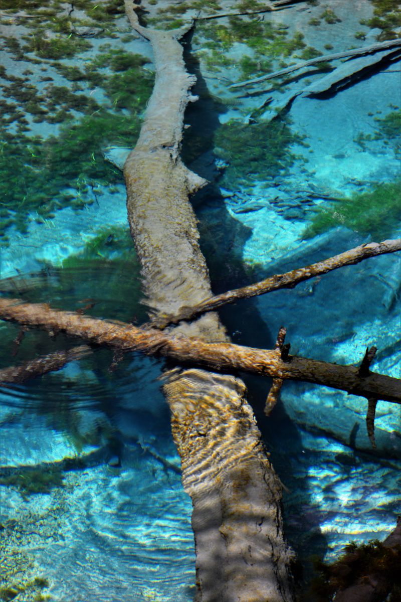 神の子池 自然 風景 湖沼 Ganref