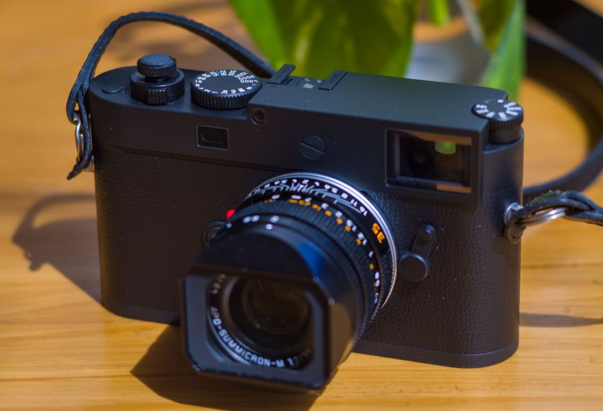 ライカ マクロ・エルマーM f4/90mm （2014）で撮影された写真 | 写真