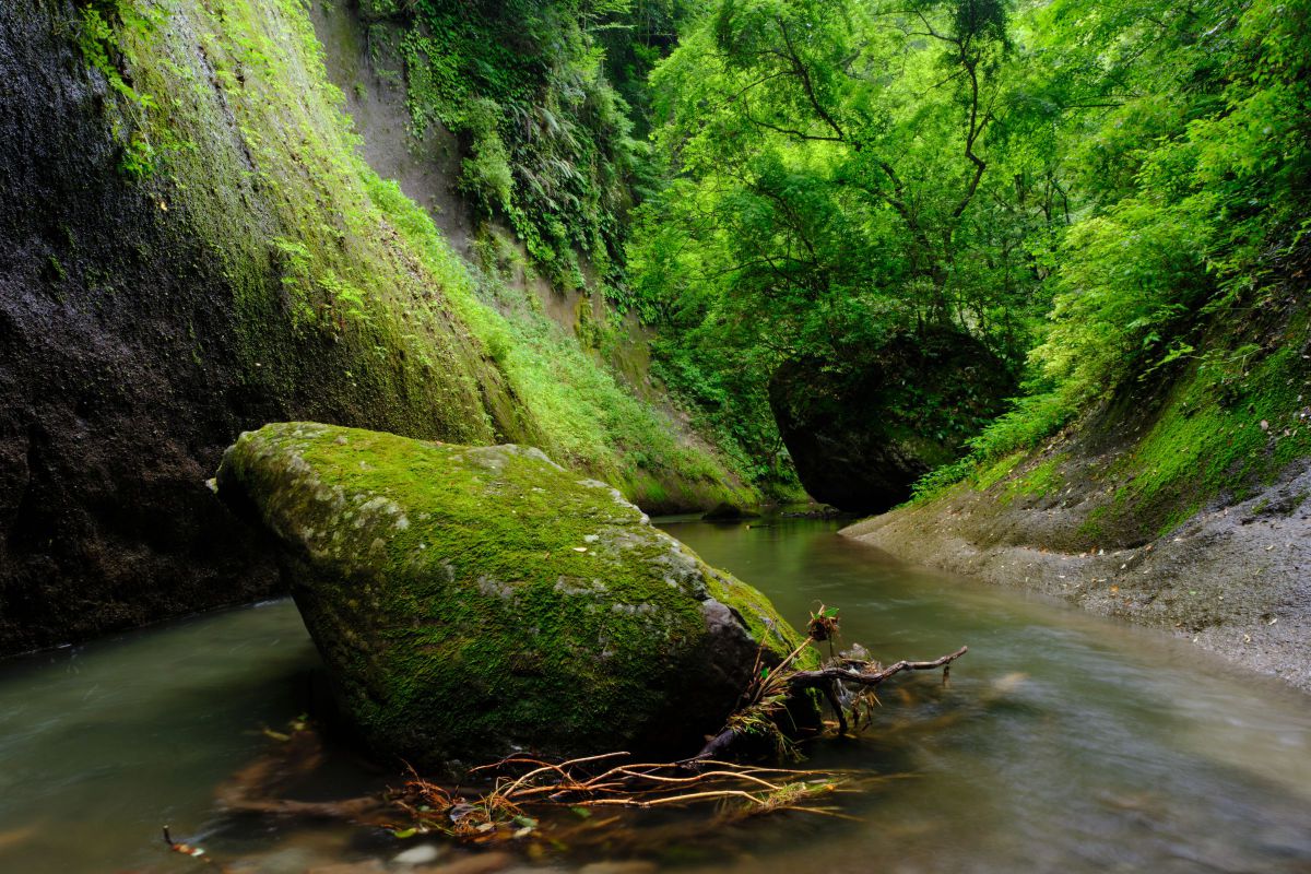 FUJIFILM X-H1で撮影された写真 | 写真検索 | GANREF