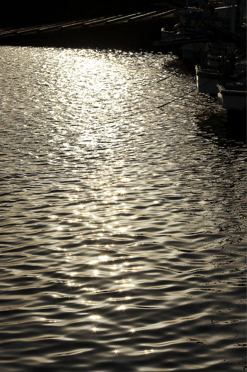 細波 自然 風景 海 Ganref