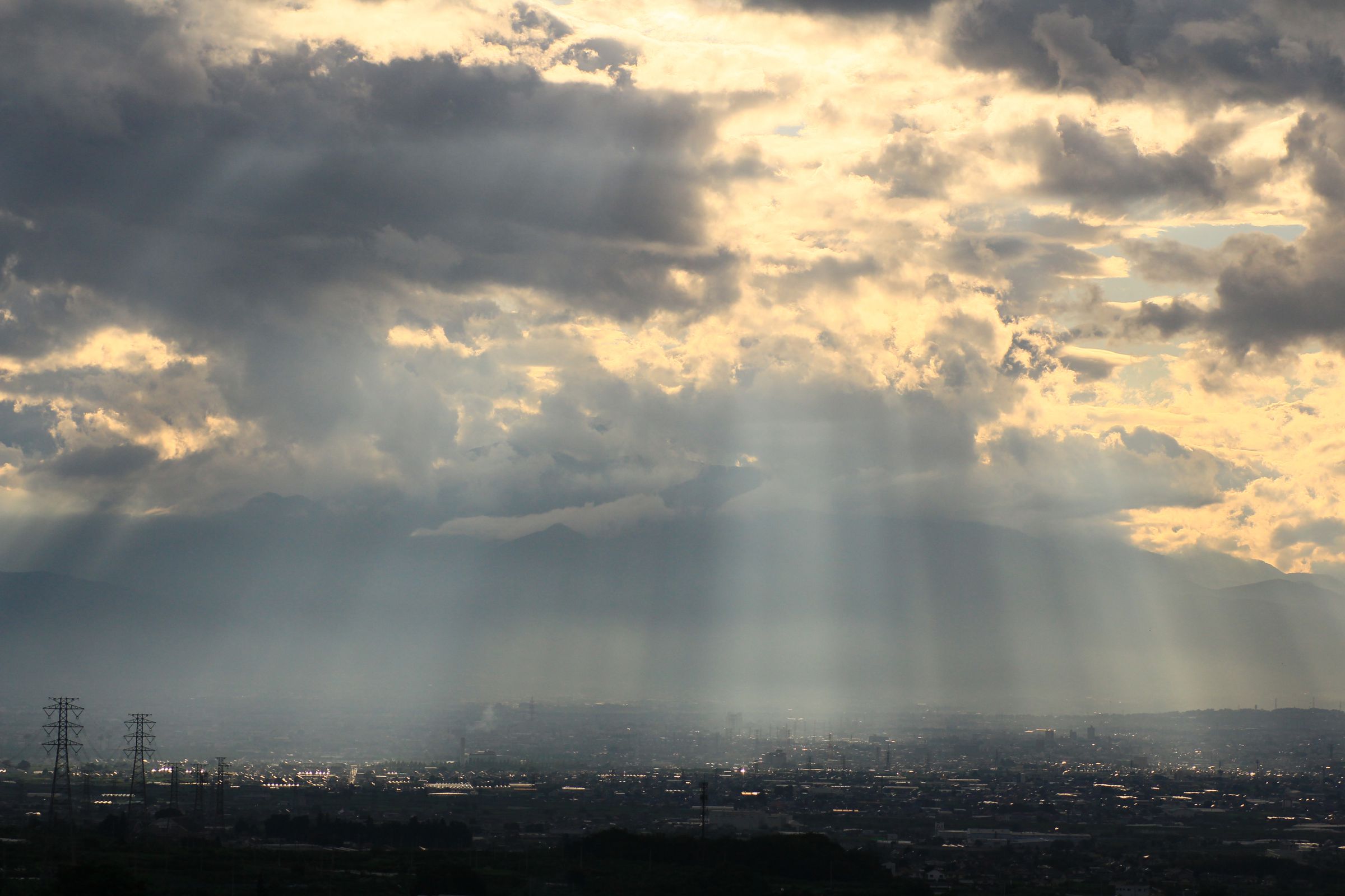 天使の梯子 | GANREF