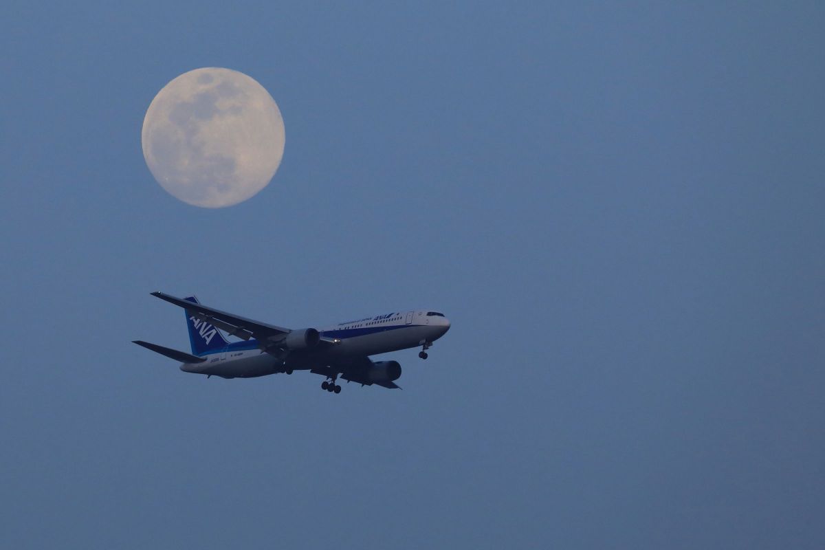 Fly Me to the Moon | GANREF