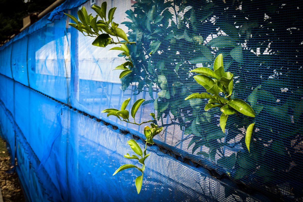 LUMIX DC-TZ95で撮影された写真 | 写真検索 | GANREF