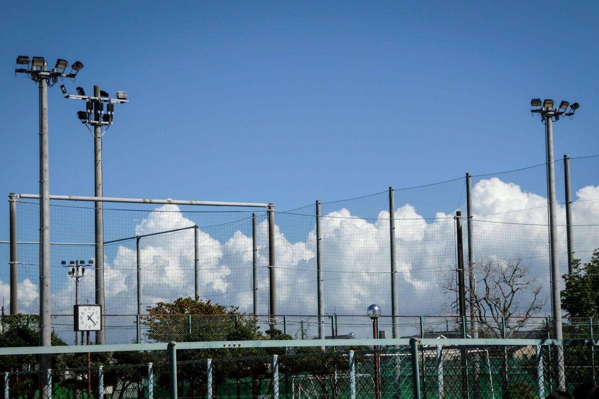 LUMIX DC-TZ95で撮影された写真 | 写真検索 | GANREF