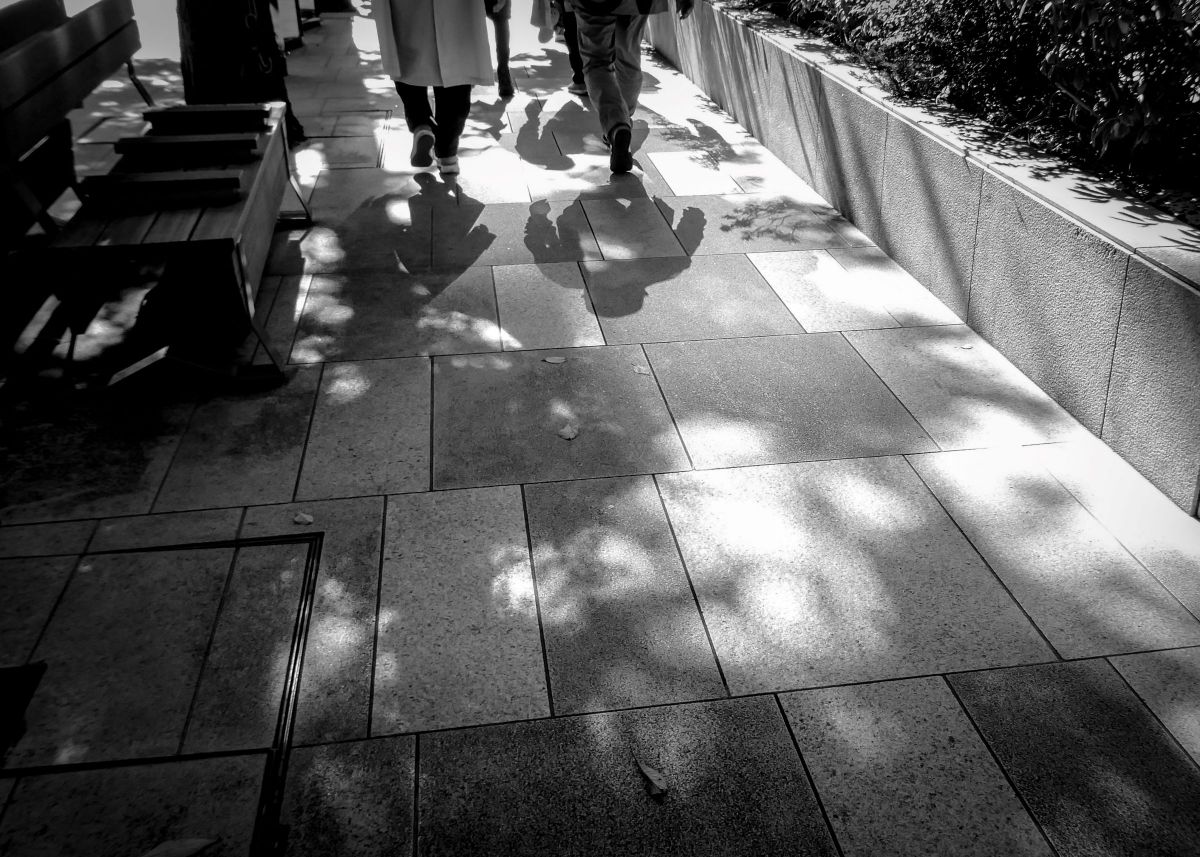 LUMIX DC-TZ95で撮影された写真 | 写真検索 | GANREF