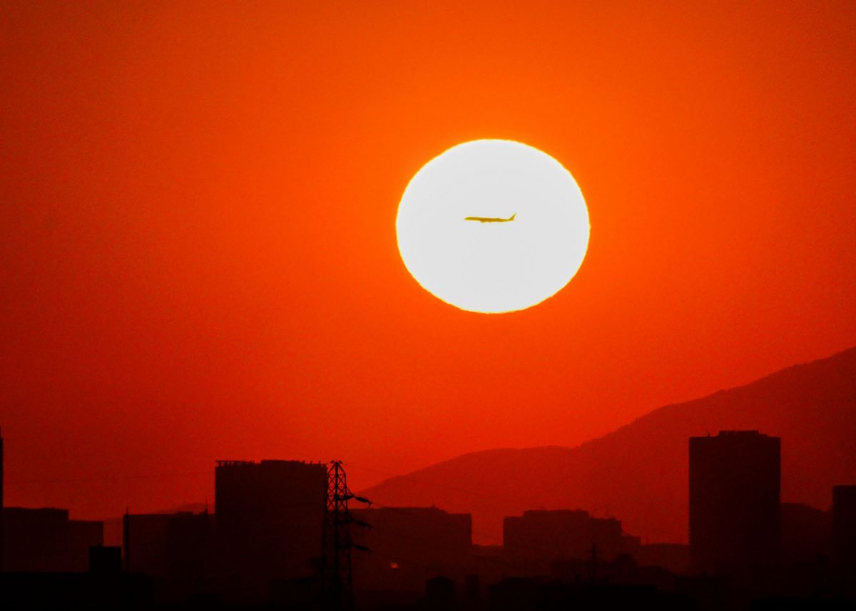 LUMIX DC-TZ95で撮影された写真 | 写真検索 | GANREF