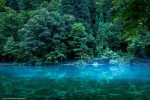 深い森の湧水湖　ジオラマ 深い森の湧水湖 ジオラマ